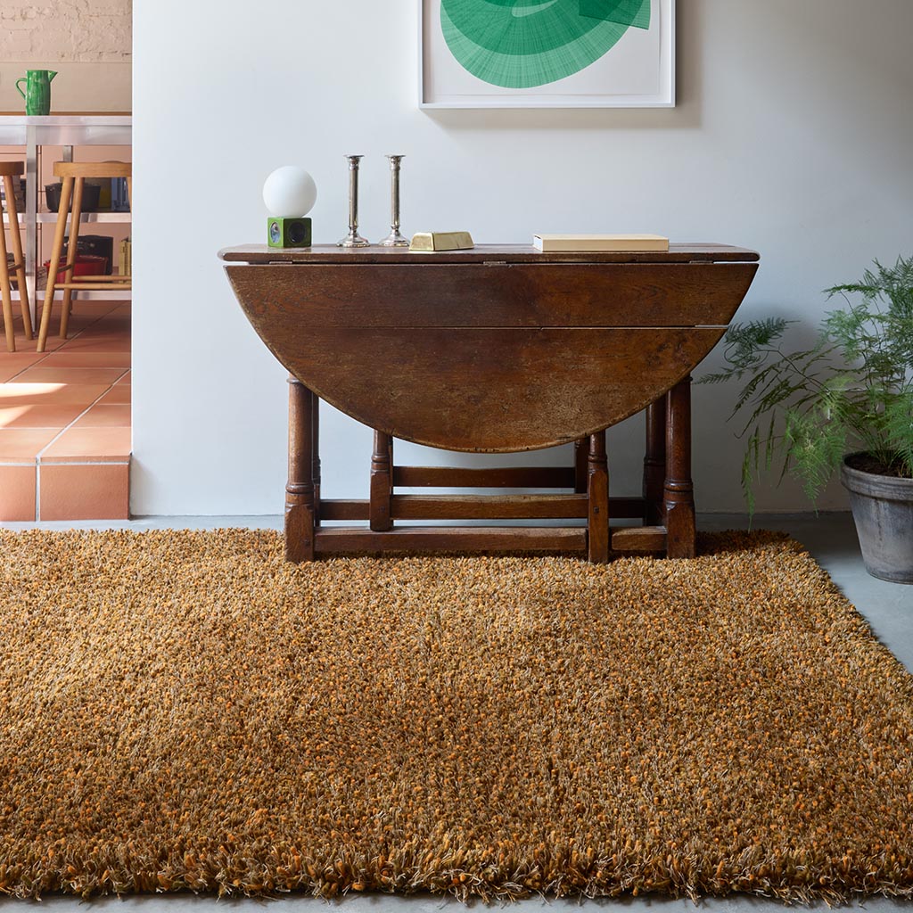 Sprout Burnt Tangerine rug
