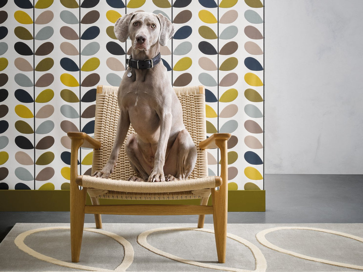 Orla Kiely Giant Linear Stem Grey rug | Kelaty
