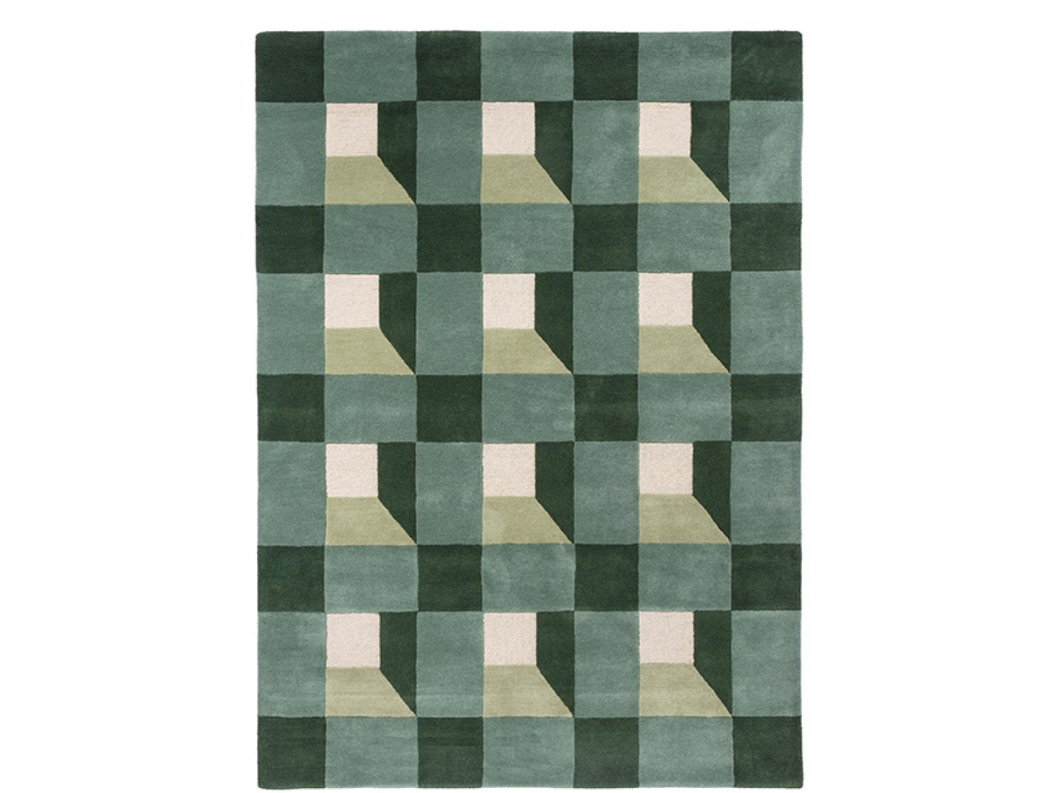 Blocks fern | 141907