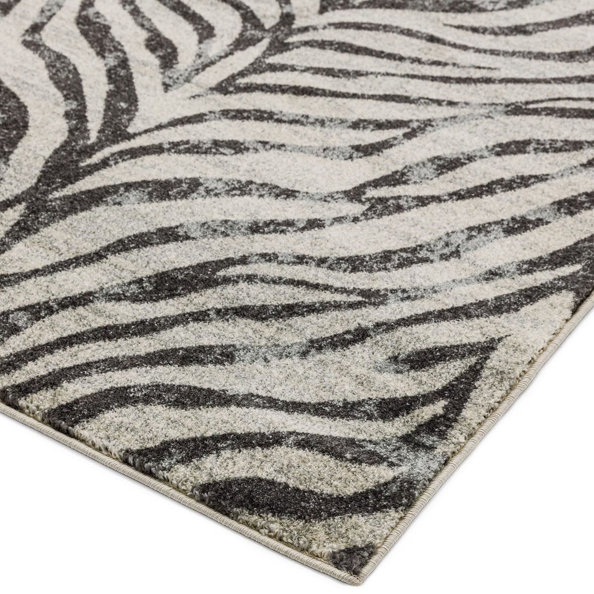 Nova NV 27 Grey rug