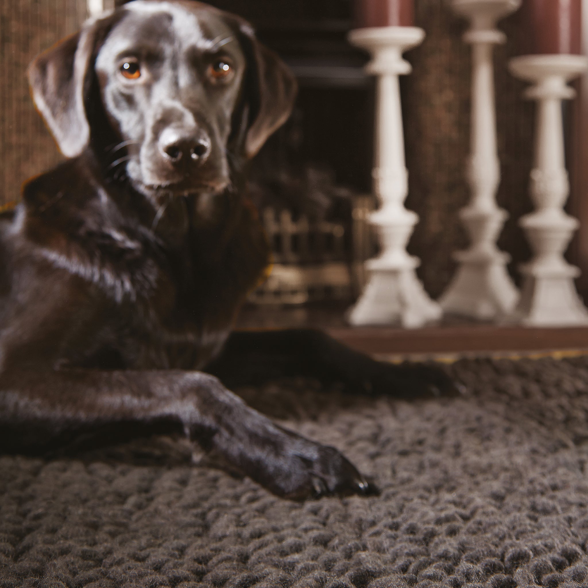 A fossil-toned hand-woven wool rug styled in a room setting
