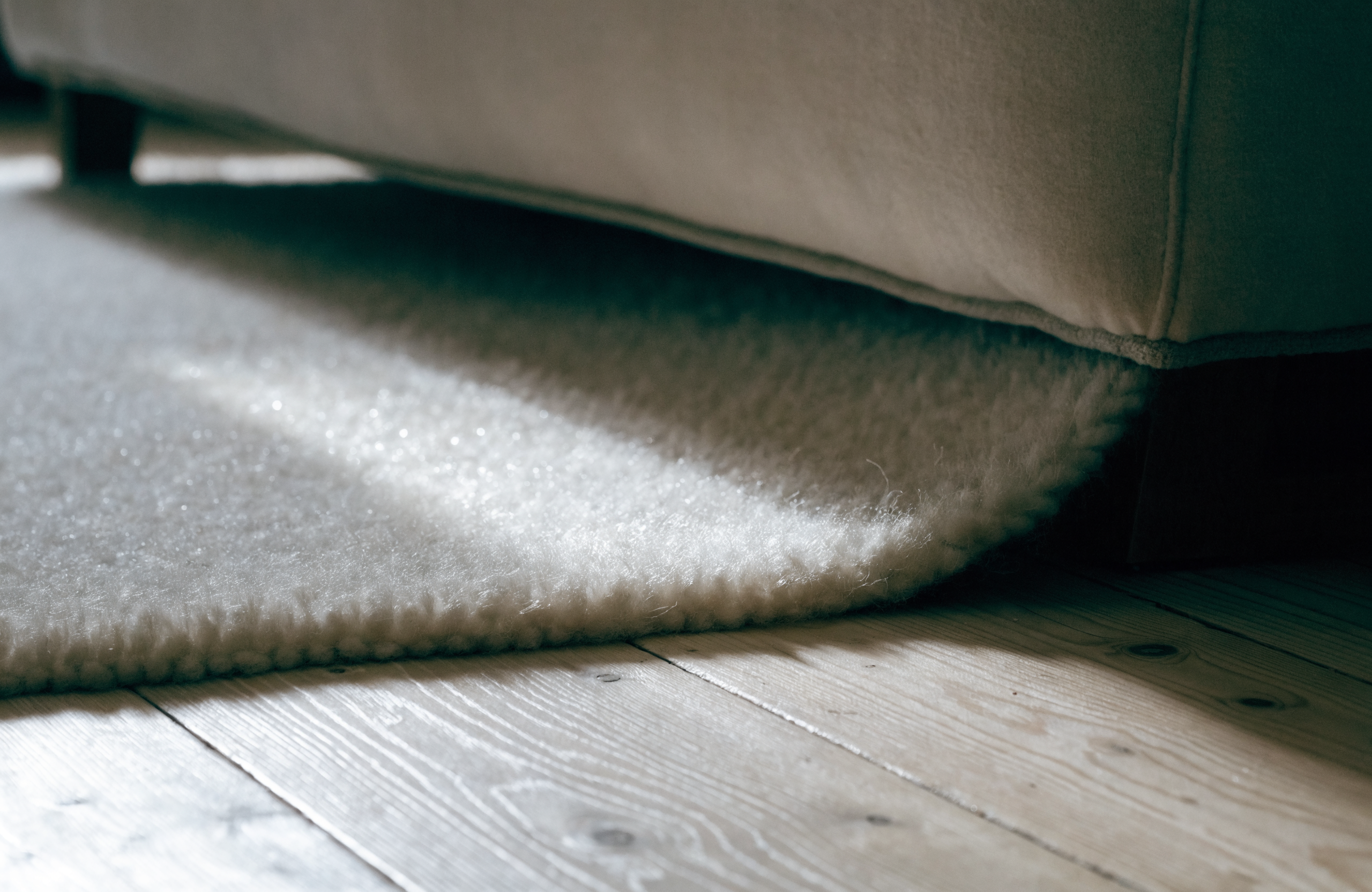 The edge of a wool rug disappearing beneath a sofa, where moth damage most often goes unnoticed