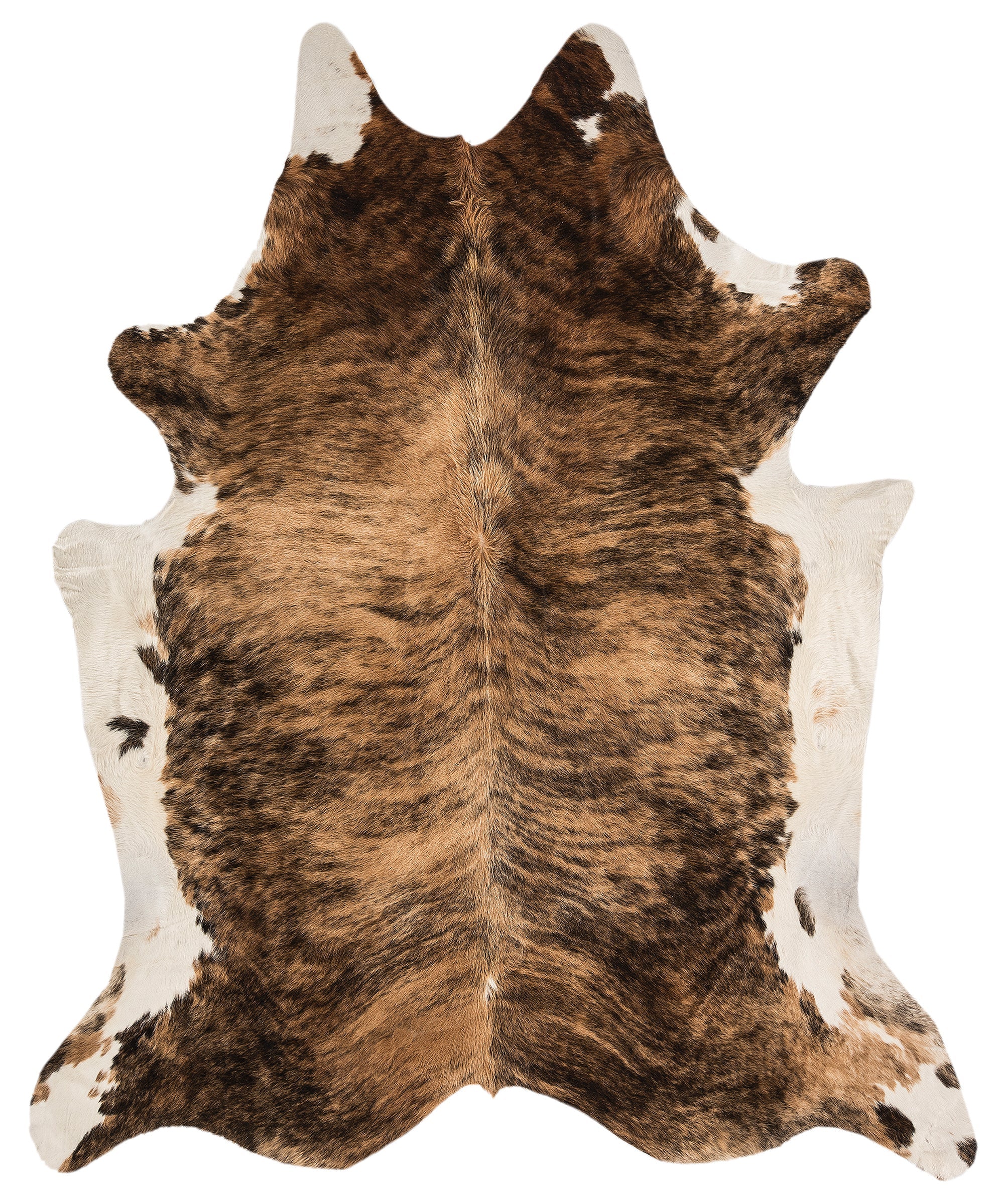 Rodeo cowhide rug