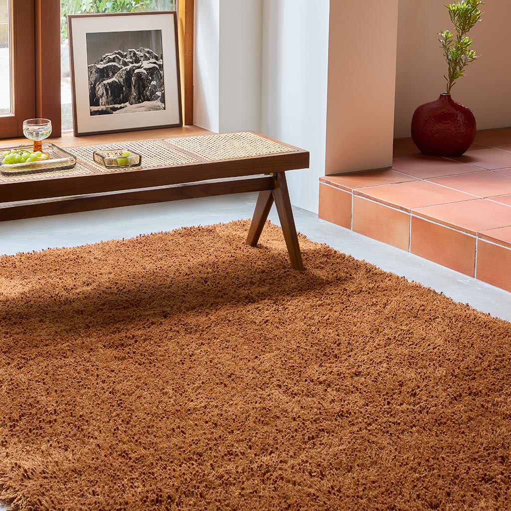 Sprout Terracotta rug