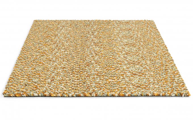 Arch Chutney rug