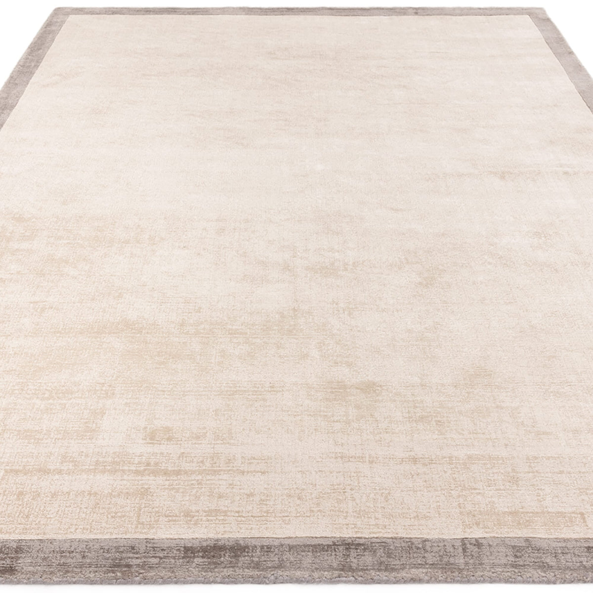 Blade Border Putty Silver rug