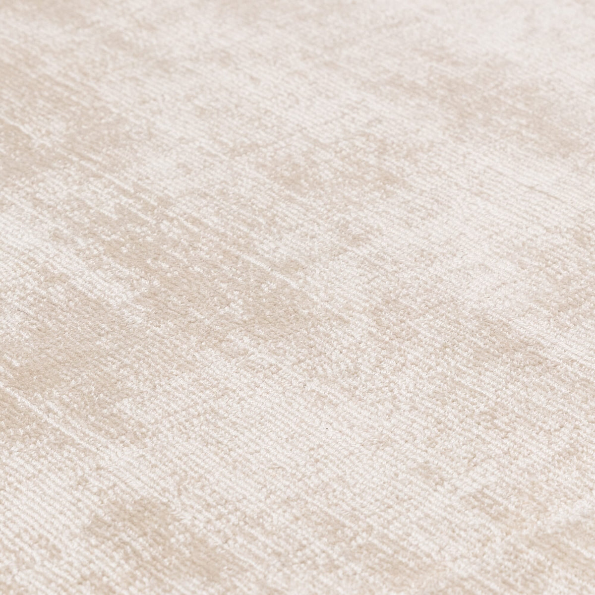 Blade Border Putty Silver rug
