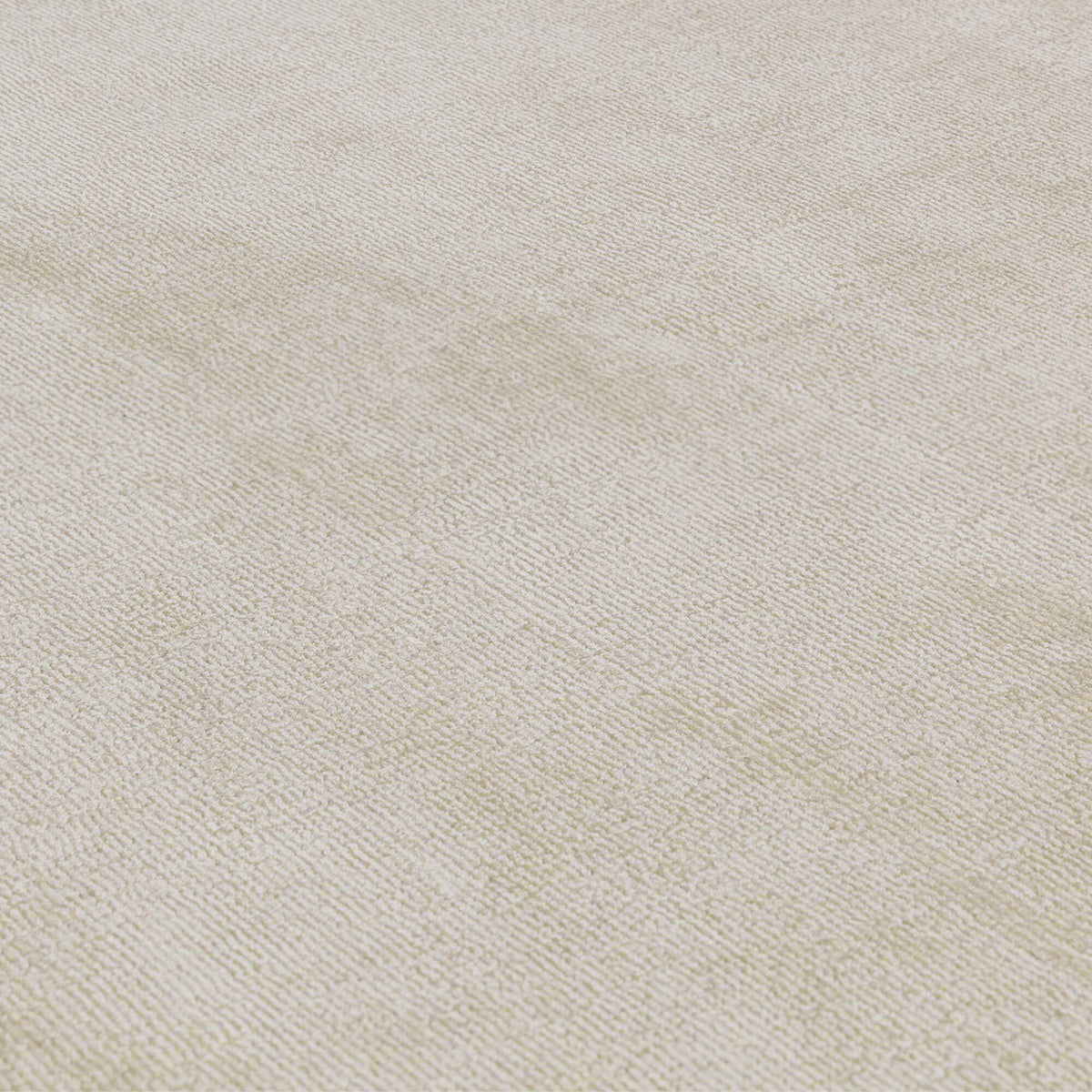 Blade Border Putty Charcoal rug