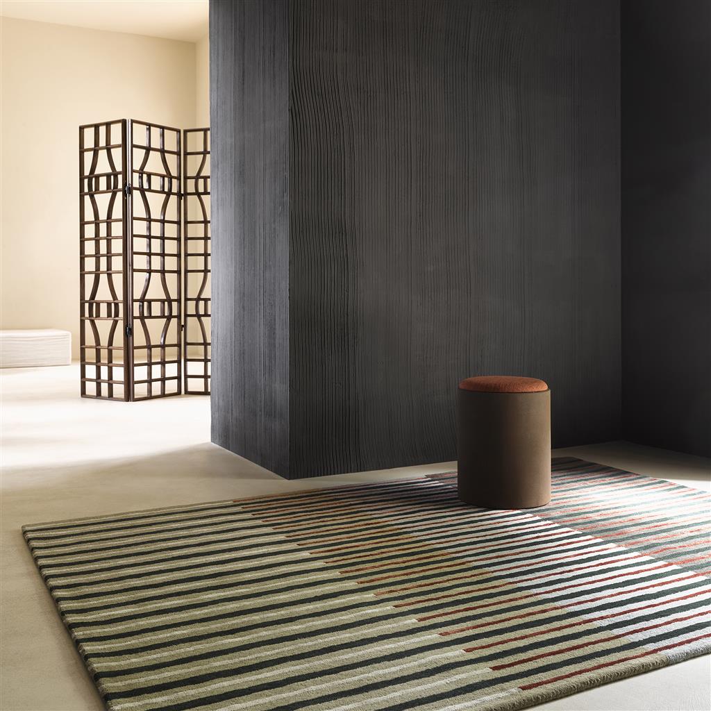Decor Proof rug