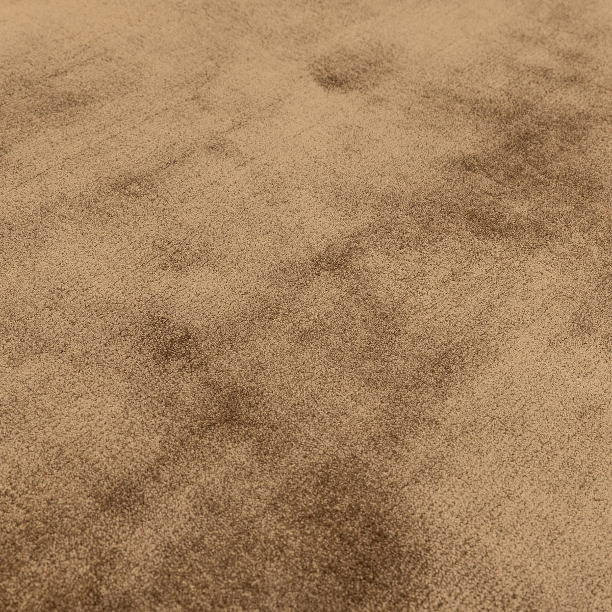 Katherine Carnaby Chrome Tan rug detail
