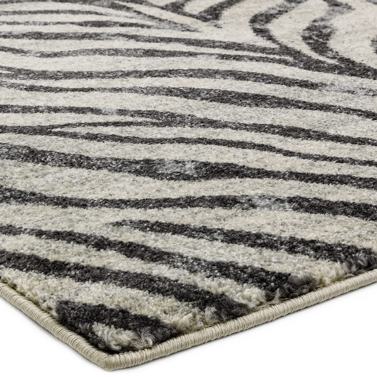 Nova NV 27 Grey rug